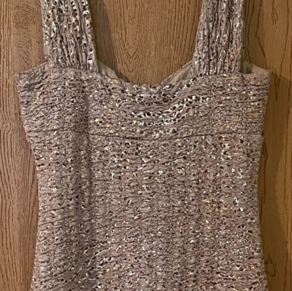 Beautiful Glittering Beige/Gold Dress 20% Discount - Picture 3 of 7
